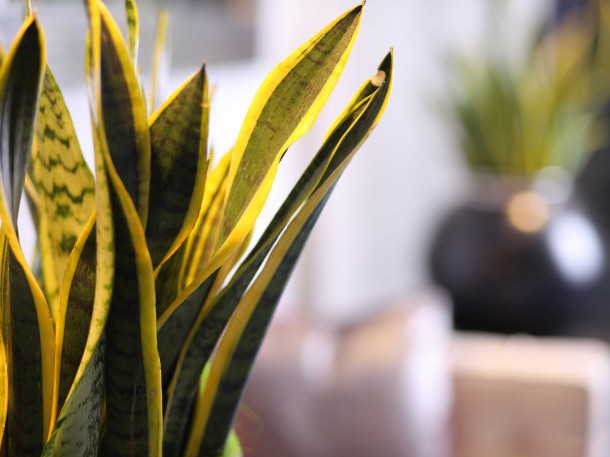 Private Hotel Collection Impressionen